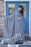 Greyish Blue Chaniya Choli Garba