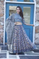 Greyish Blue Chaniya Choli Garba view