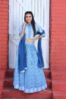 Pastel Blue Printed Floral Lehenga Choli for Women