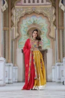 alpine orange lehenga choli for girls style