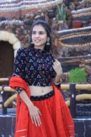 south indian lehenga choli